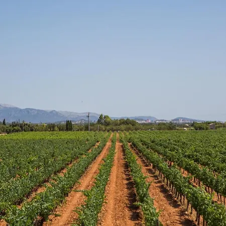 Villa Es Blanquer De Na Fani *